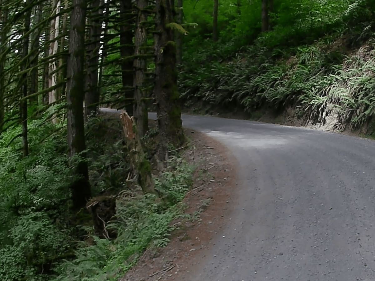 Skamania Mines  photo 3