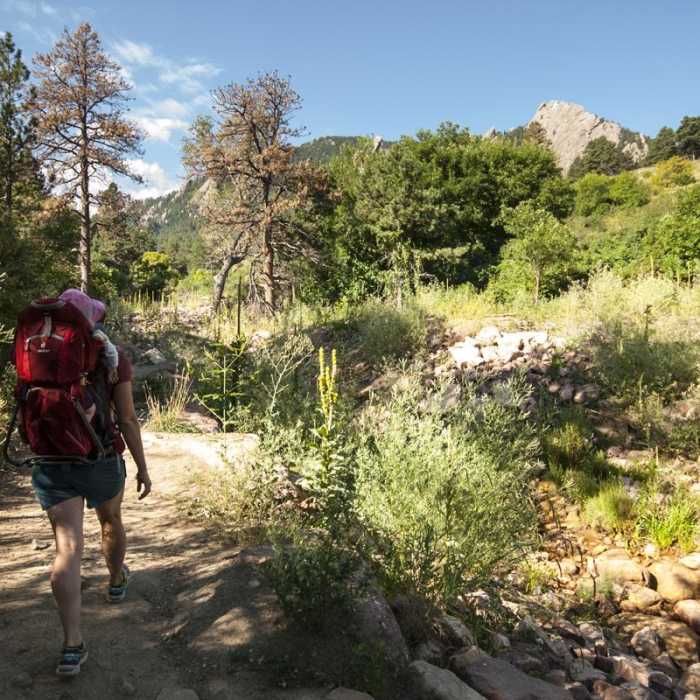 Near McClintock Trail Hike