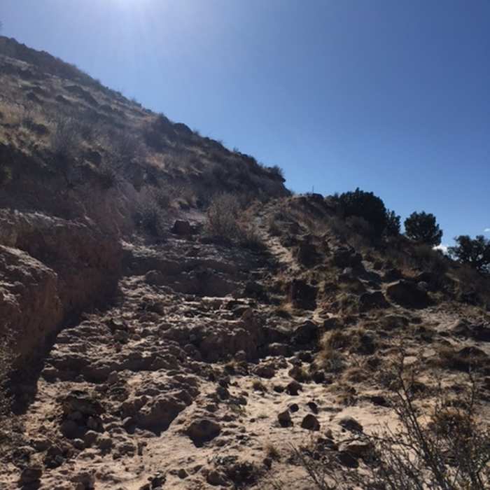 Near Black Mesa Trail