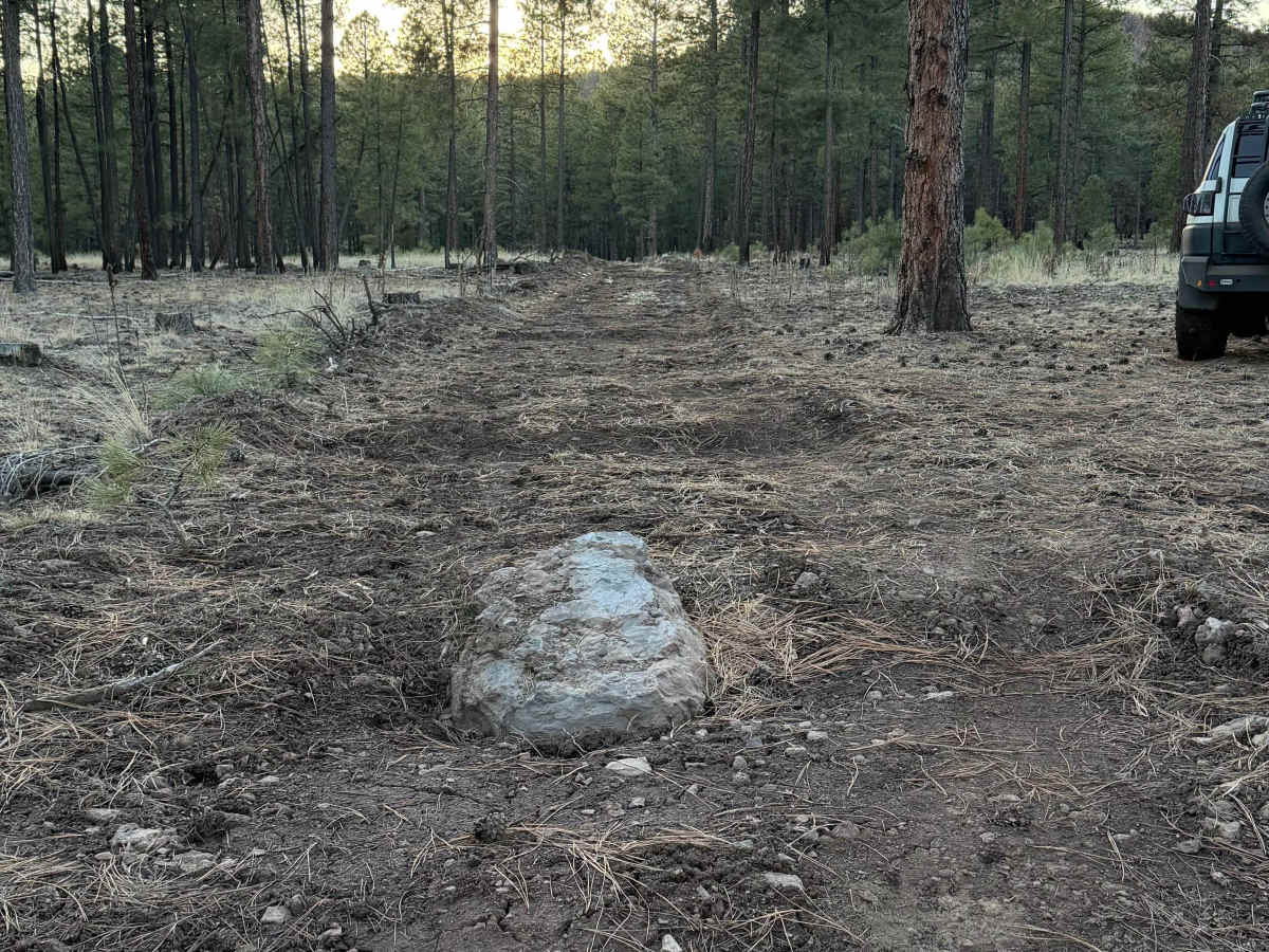 Lost Logger Trail photo 4