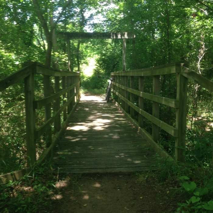Nice bridge on the Woodland Trail. Near Chickasaw Trace
