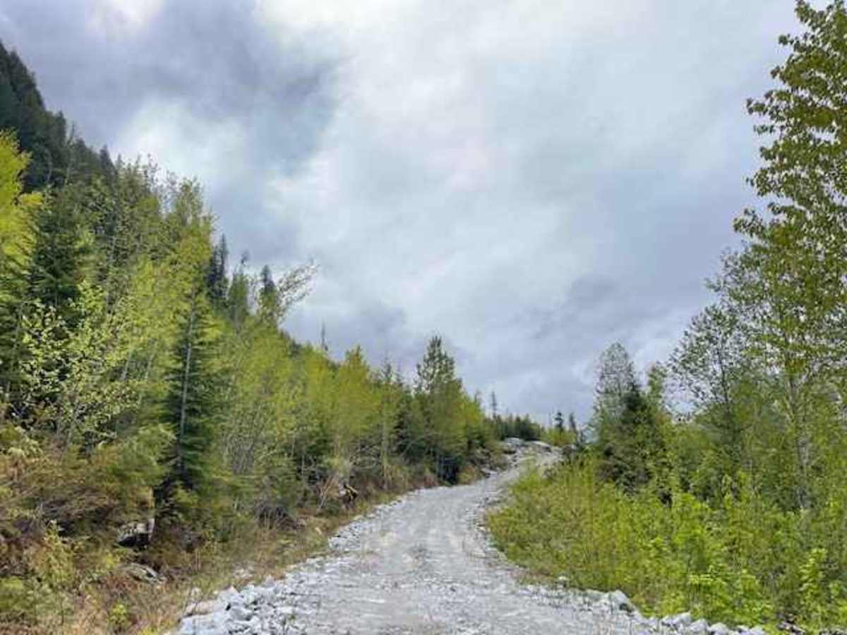 Dasque Road photo 3