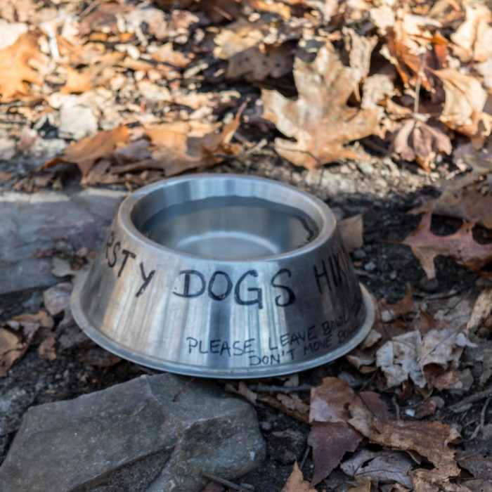 Near Pine Cobble Trail