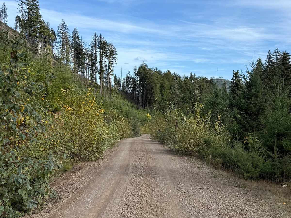 DRN Road 1240 photo 4