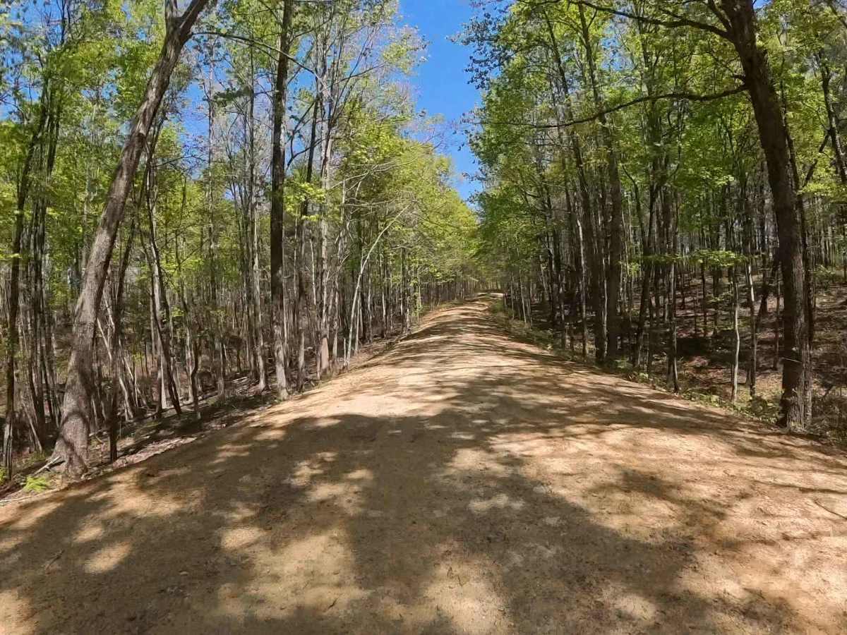 Forest Road 744C photo 4