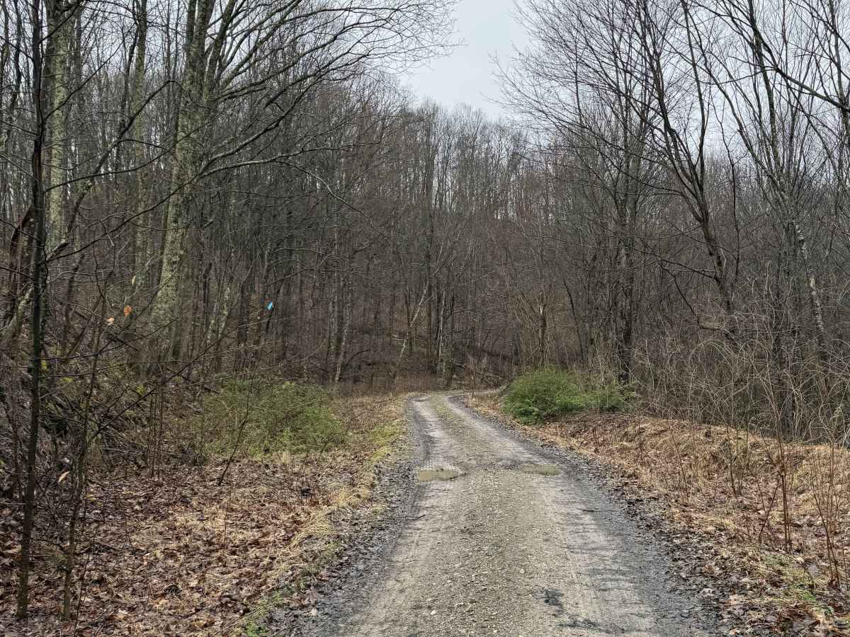 Q8 trail photo