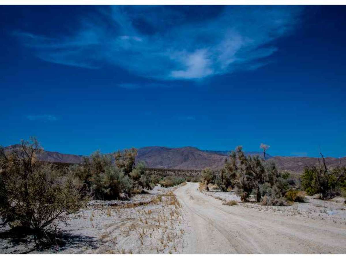 Nolina Wash Road photo 3