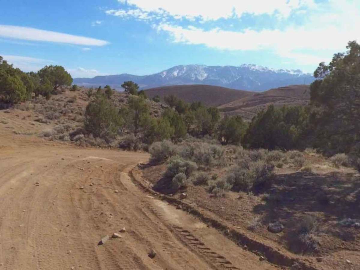 VCA Mine Road photo 6