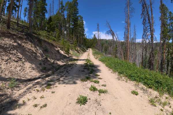 Fox Loop - BLM 2758