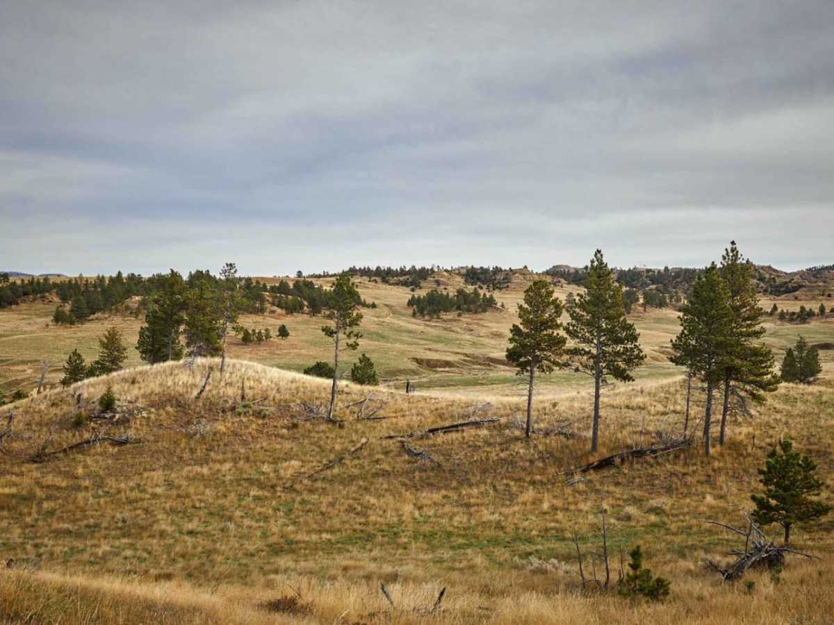 Red Top Hill Road photo 4