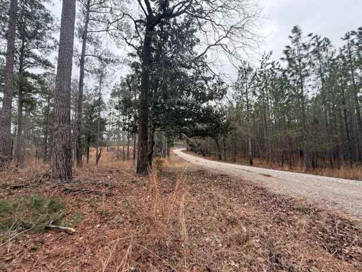 Woodward Branch photo 4