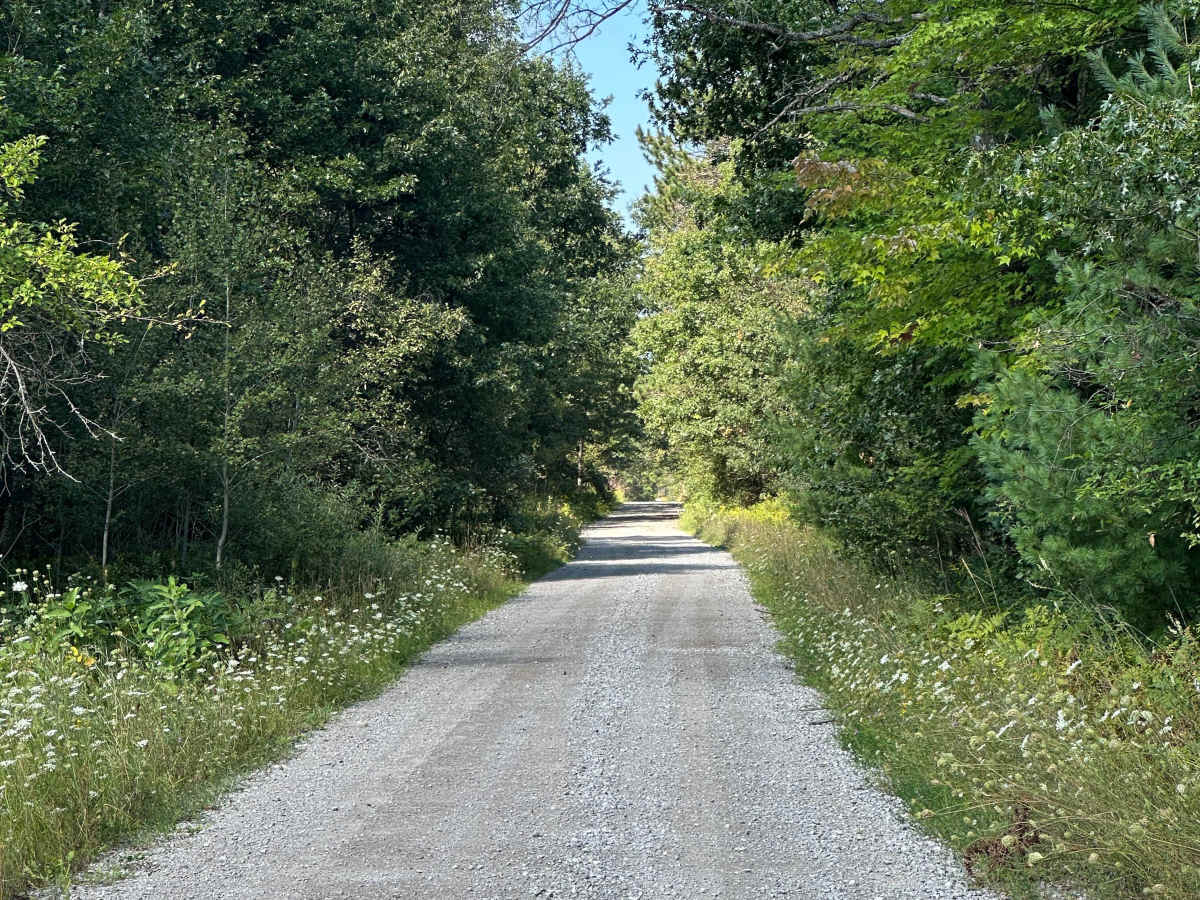 Hemlock Avenue photo 6