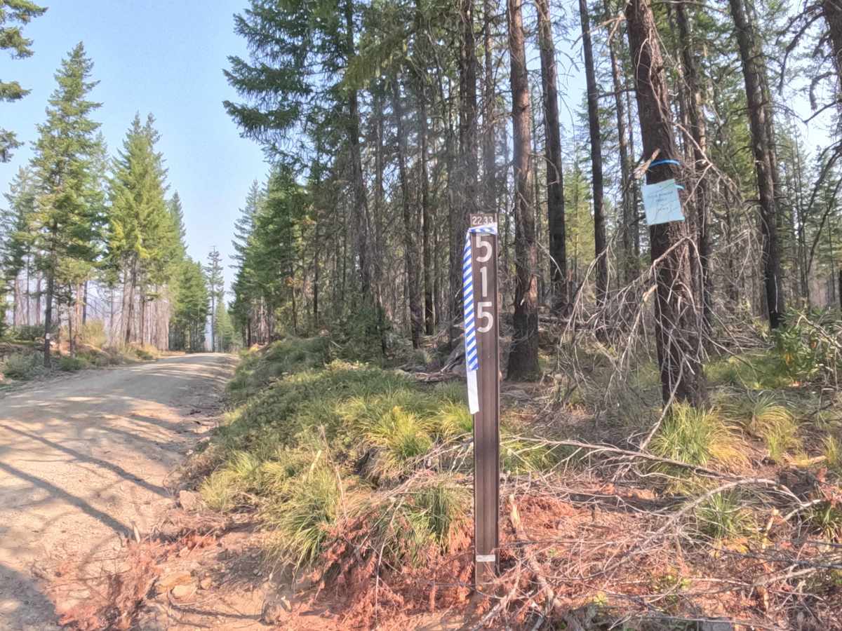 Bullfrog - FS 2233515 trail photo