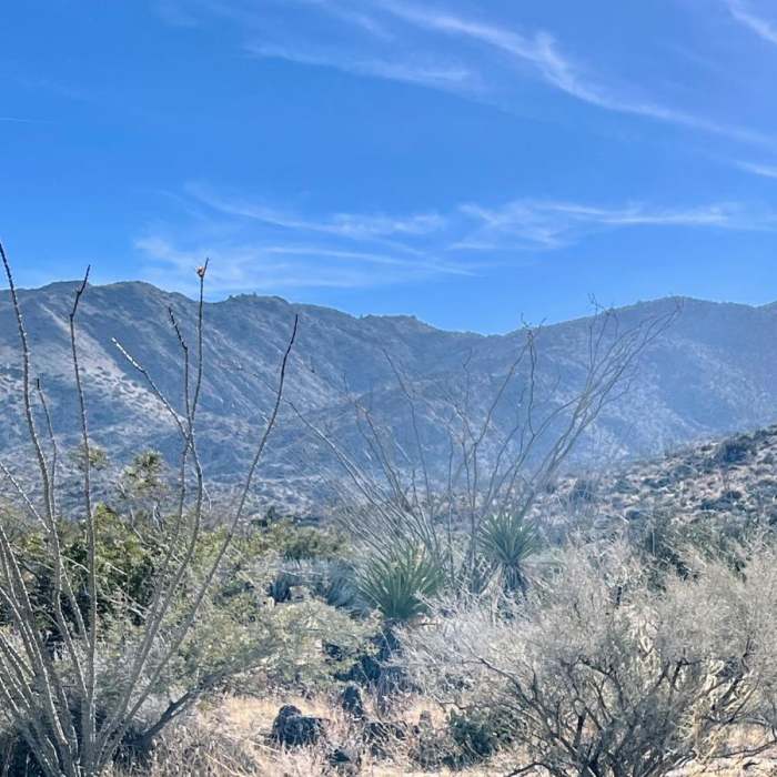 Near Split Rock Petroglyphs