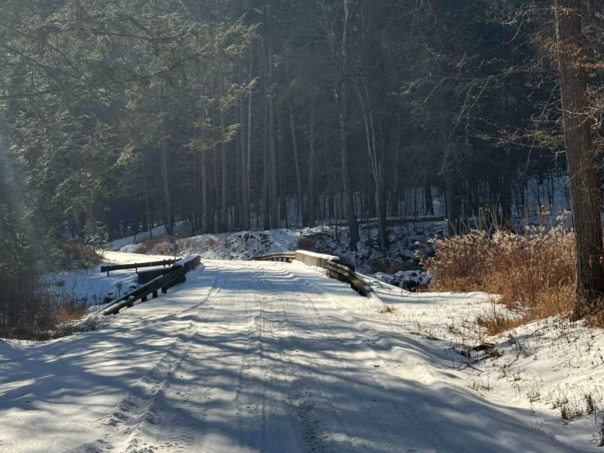 Big Hollow Road photo 5