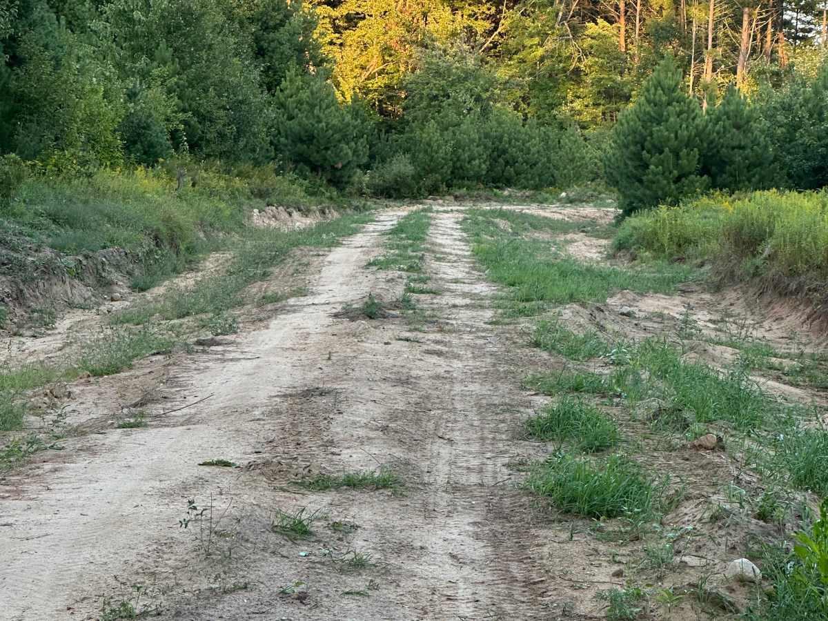 Dunsmore Cutover photo 6