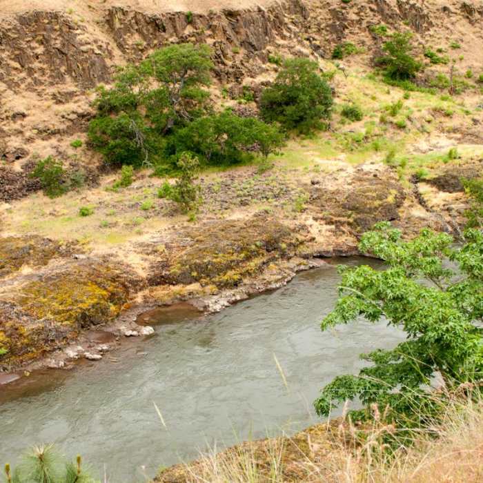 Near Klickitat Trail, Lyle Trailhead