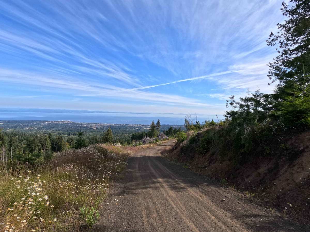 Walking Horse Trail photo 6