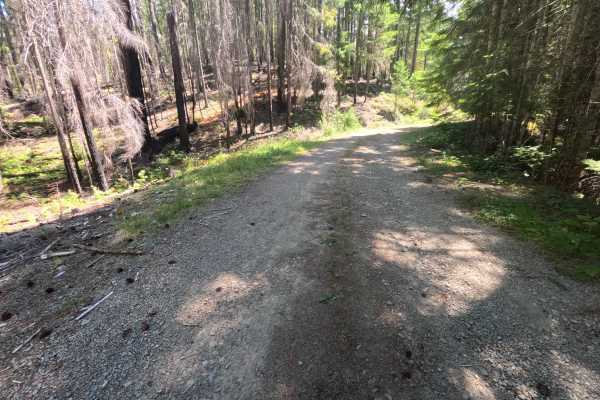 Purcell Creek - FS 4610000