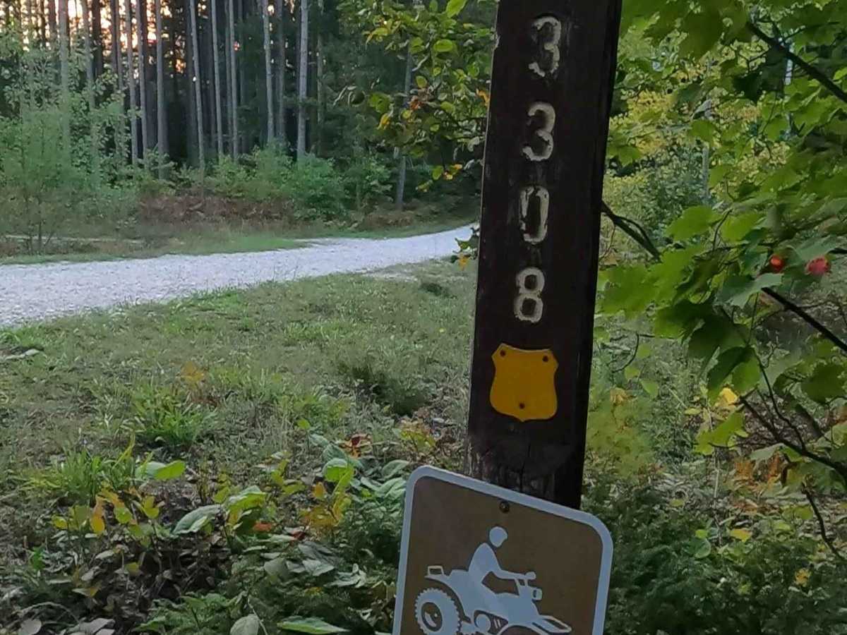 Carp River Road - FS 3308  trail photo