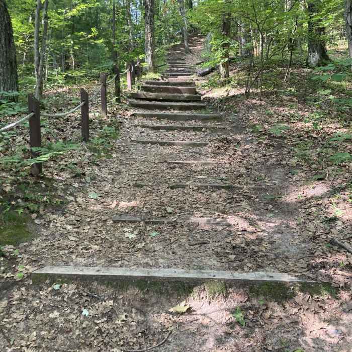 Near Wildcat Mound Loop Near Wildcat Mound Loop