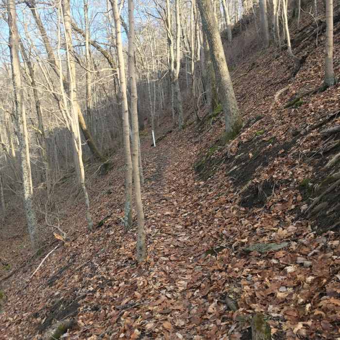 Near Turtle Loop