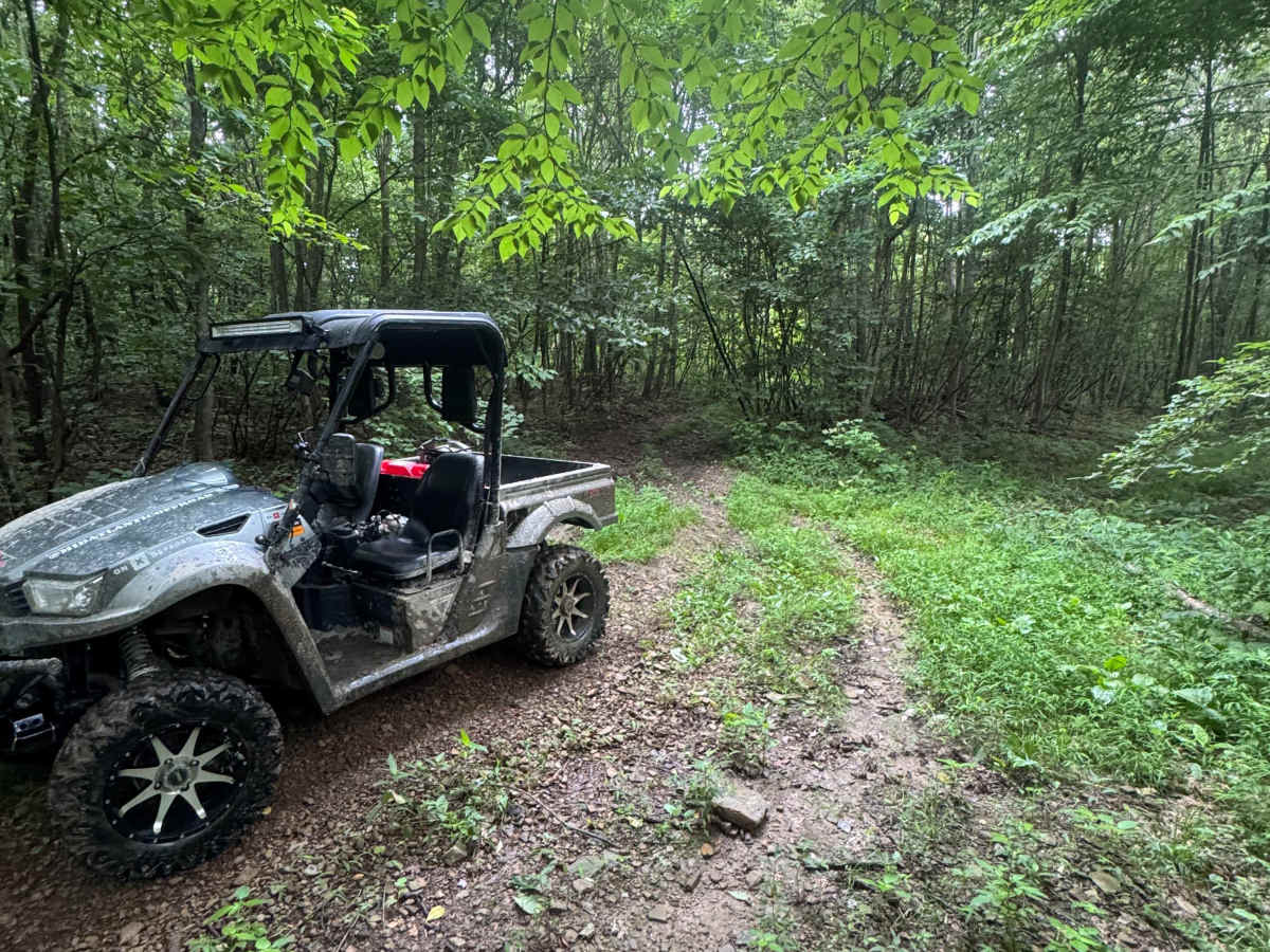Trail 83 photo 6