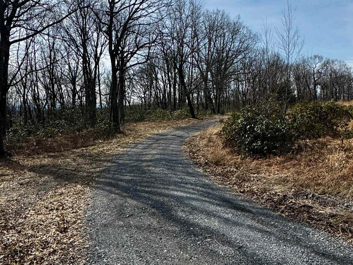 Flat Rock Road photo 3