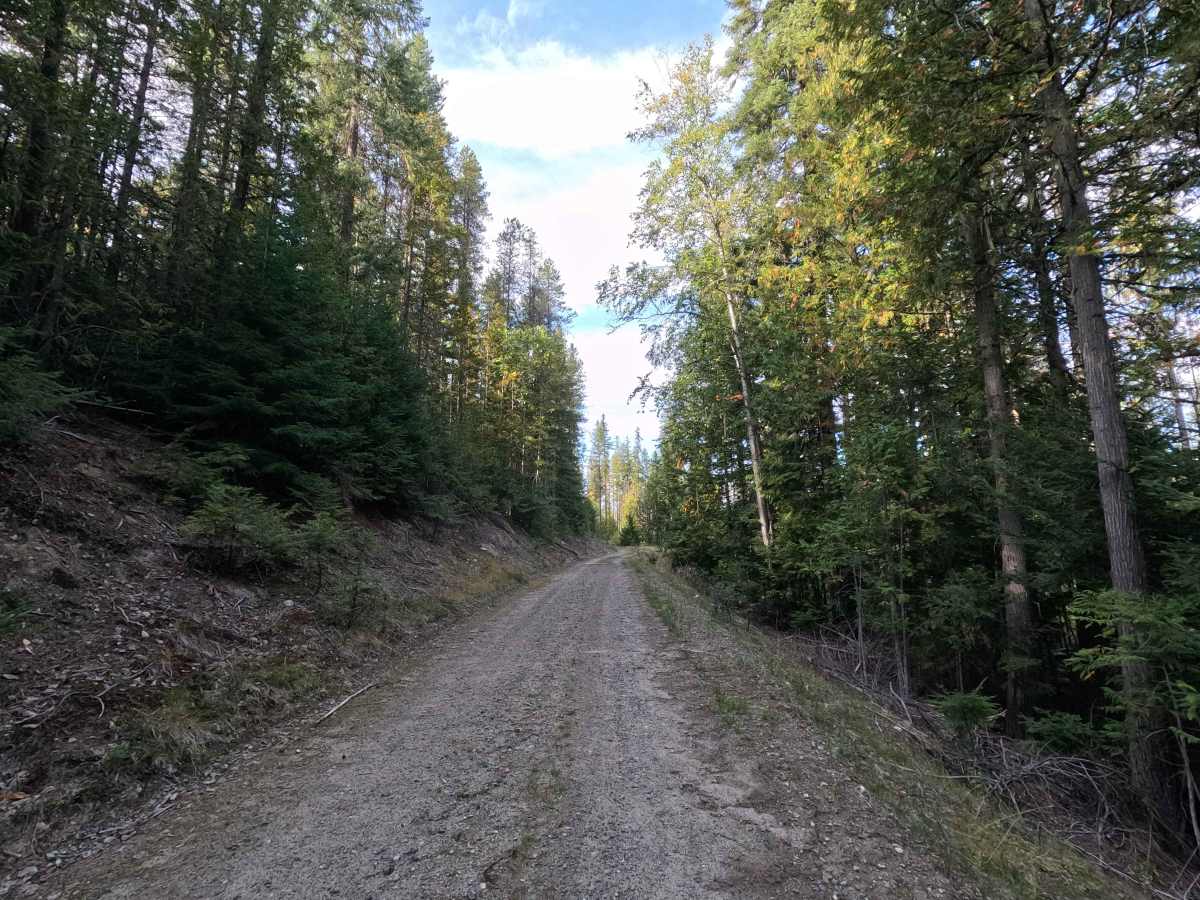 FS 3140456 photo 2