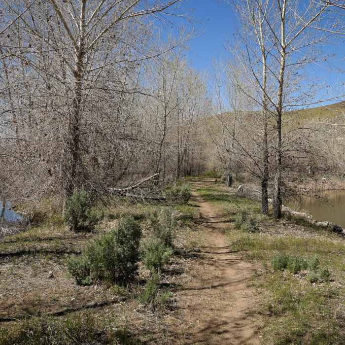 Near McCarran Ranch Preserve River Trail