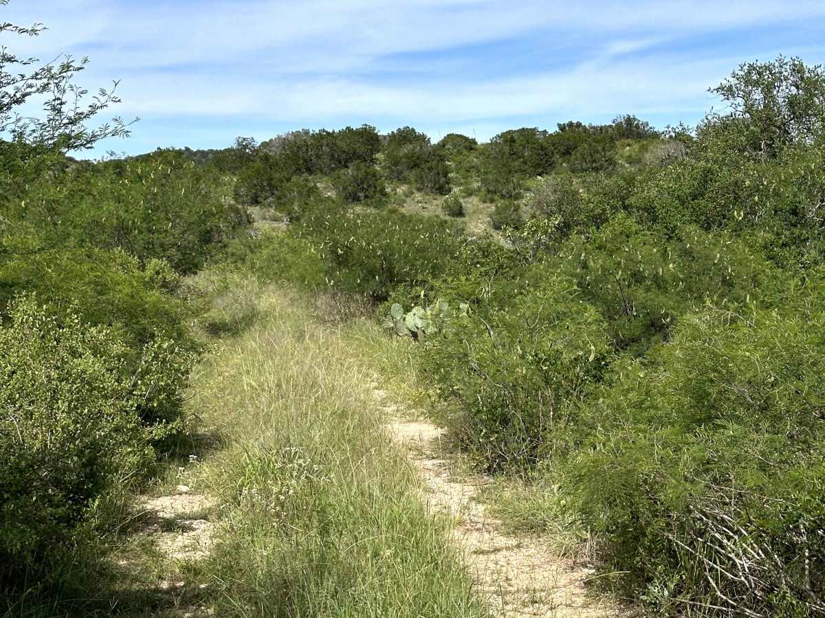 Lazy Loop trail photo