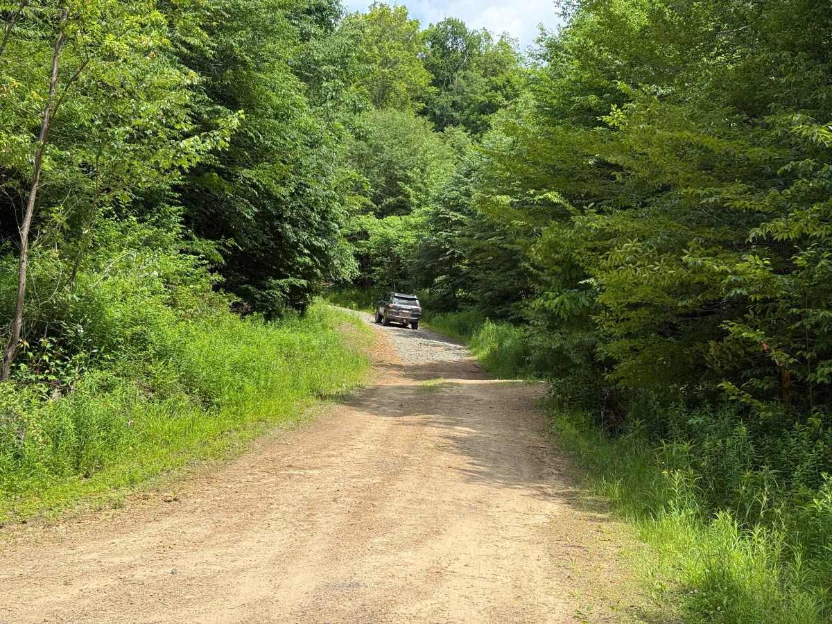 Whiting Run - FS 321 photo 2