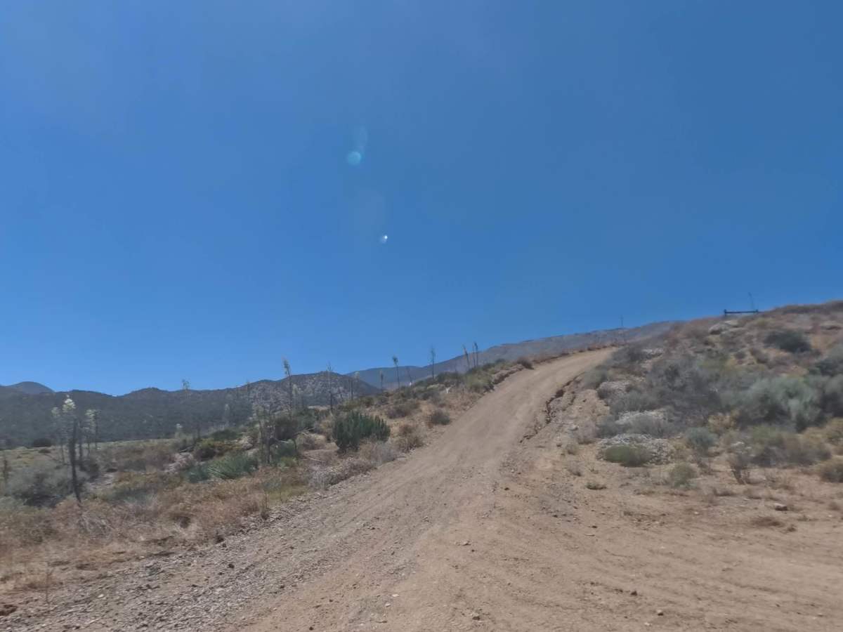 Meadows Trail - Upper Segment photo 4