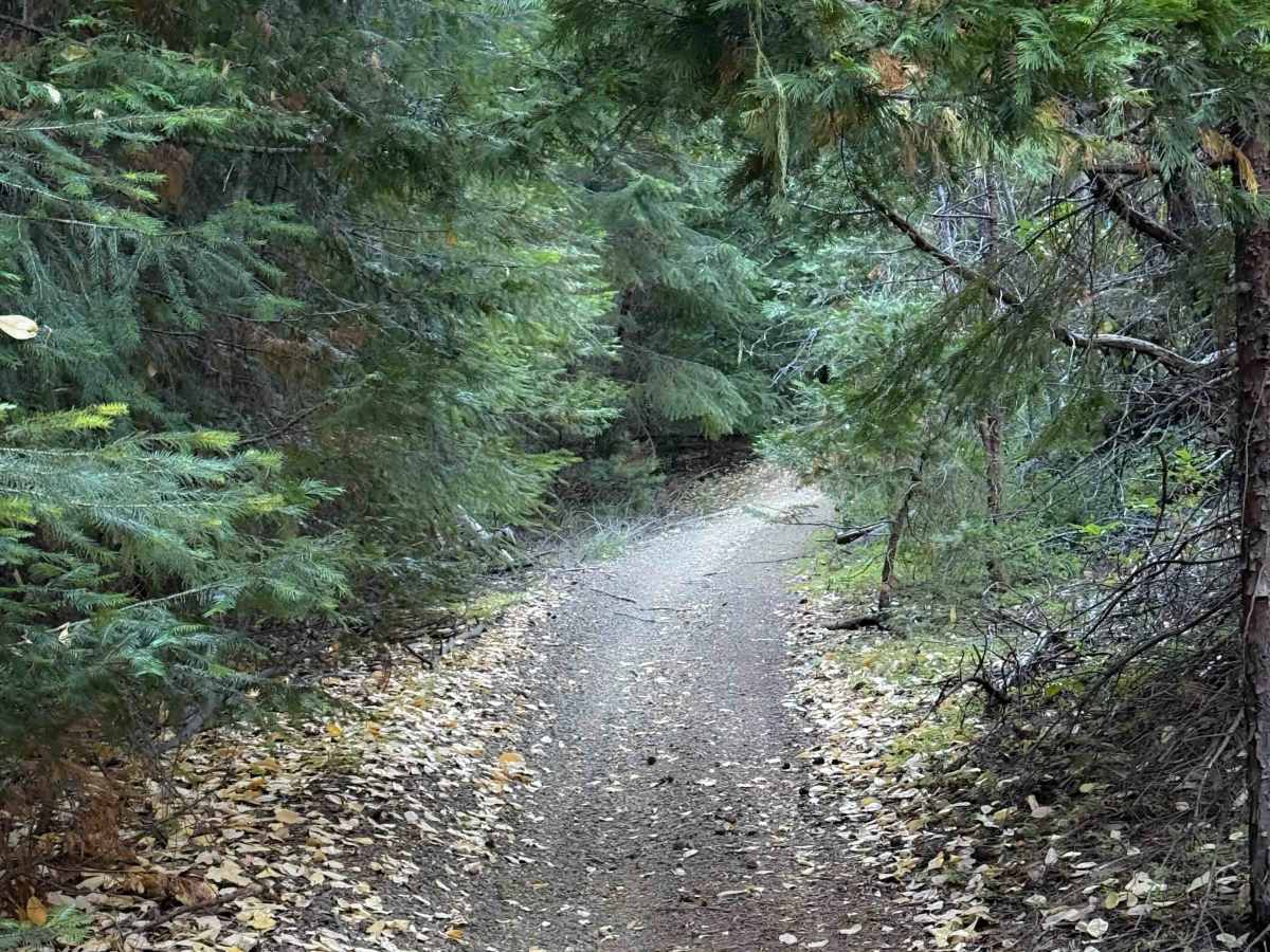 McCall Creek OHV #49  photo 4