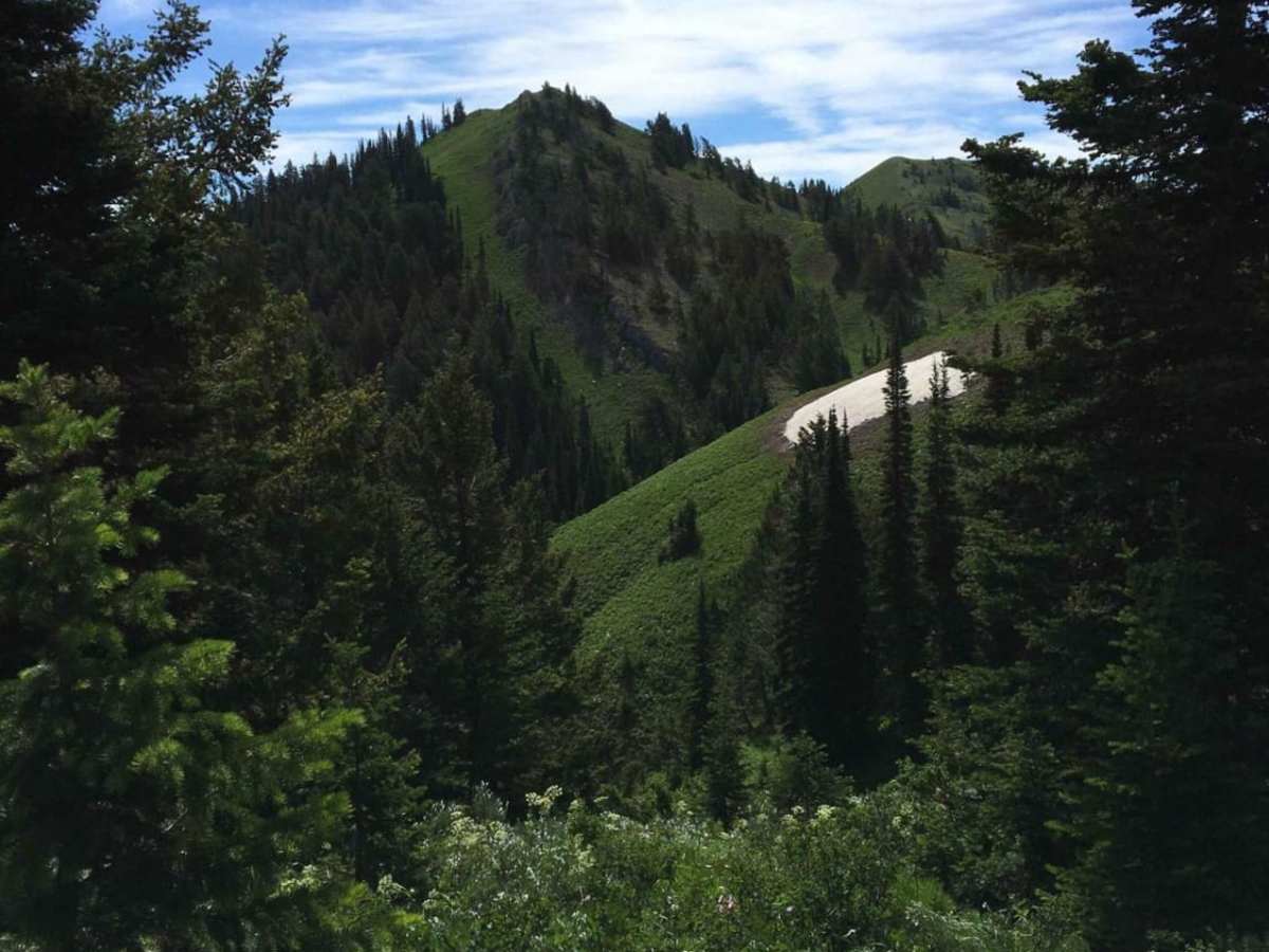 Big Hole Crest photo 6