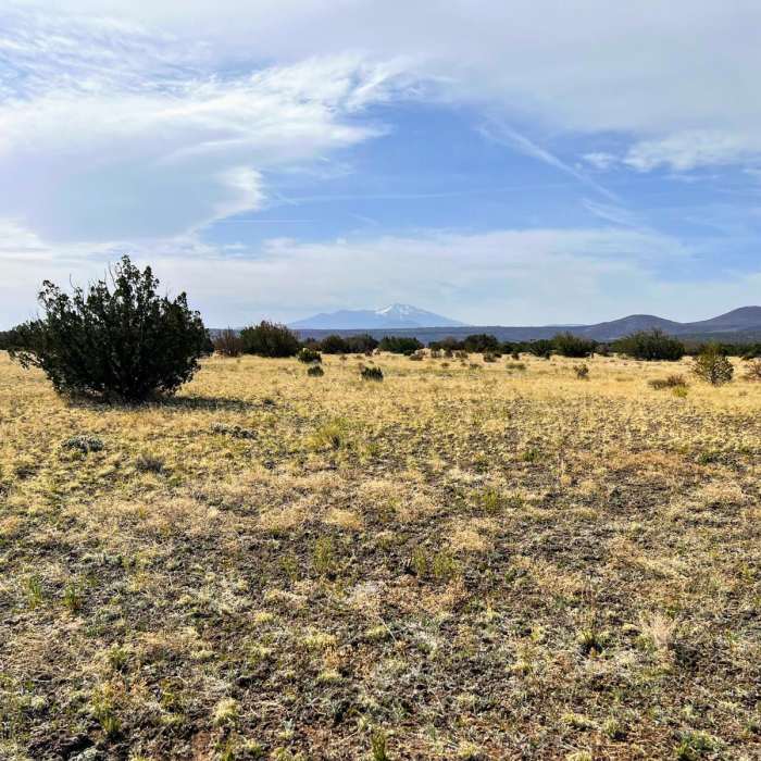 Near Arizona Trail Passage 35: Babbitt Ranch