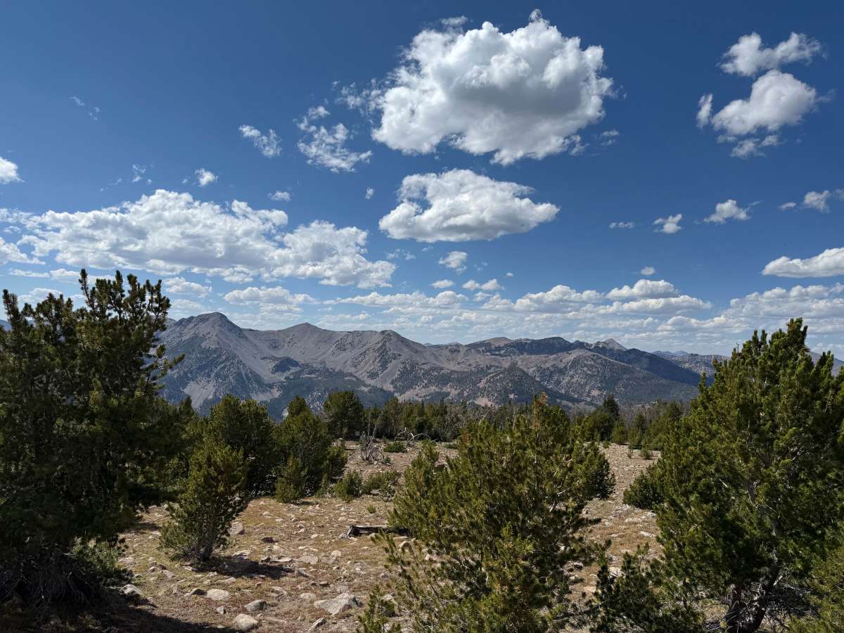 Blue Jay Mine trail photo