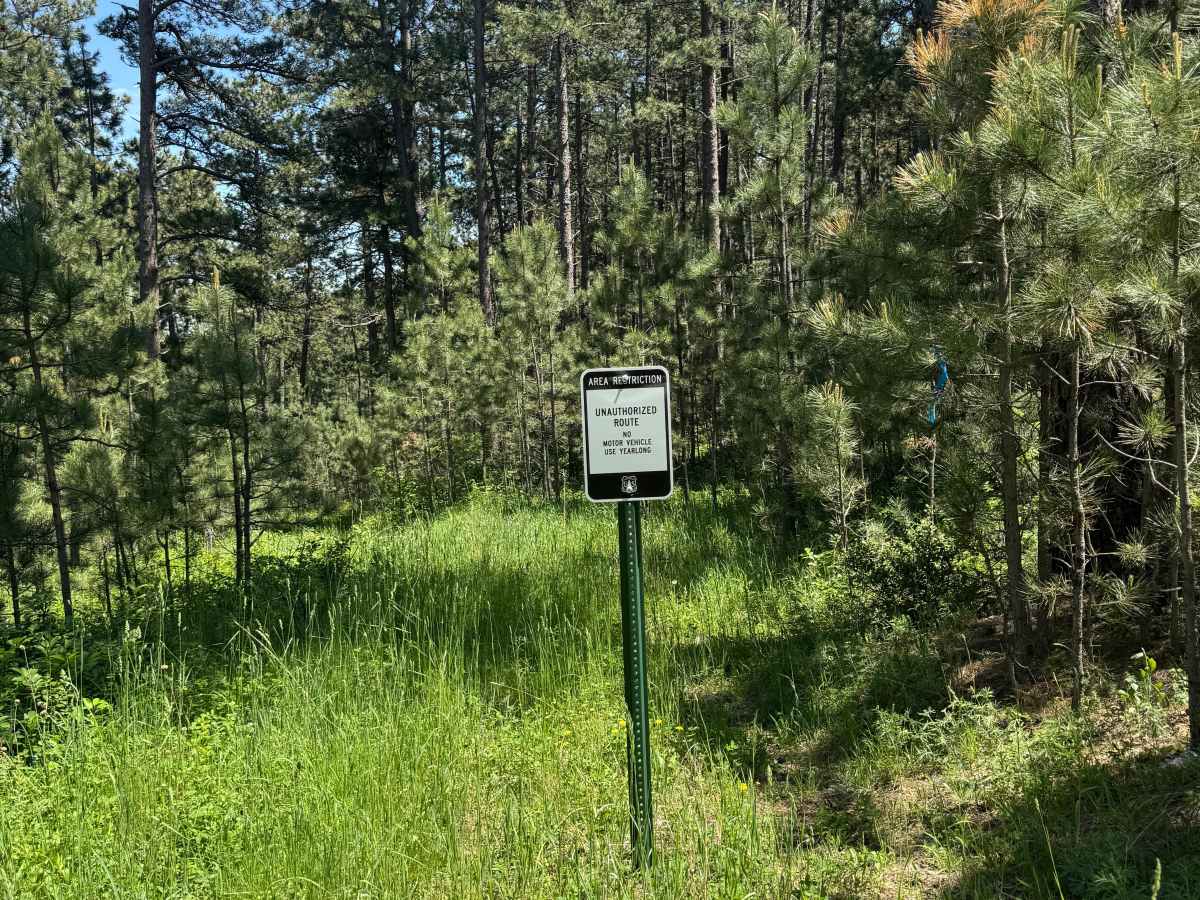 Forbes Gulch Br 1a - FSR 169.1A photo 4