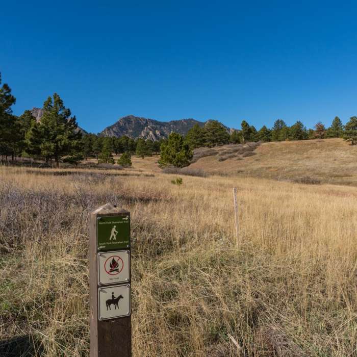 Near Shanahan Forks Loop