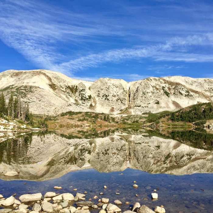 Near Medicine Bow Peak Trail #295