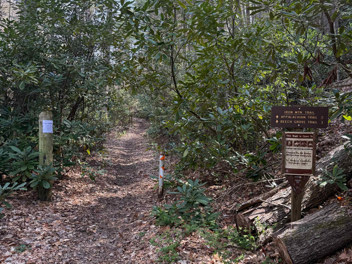 Iron Mountain Spur A trail photo