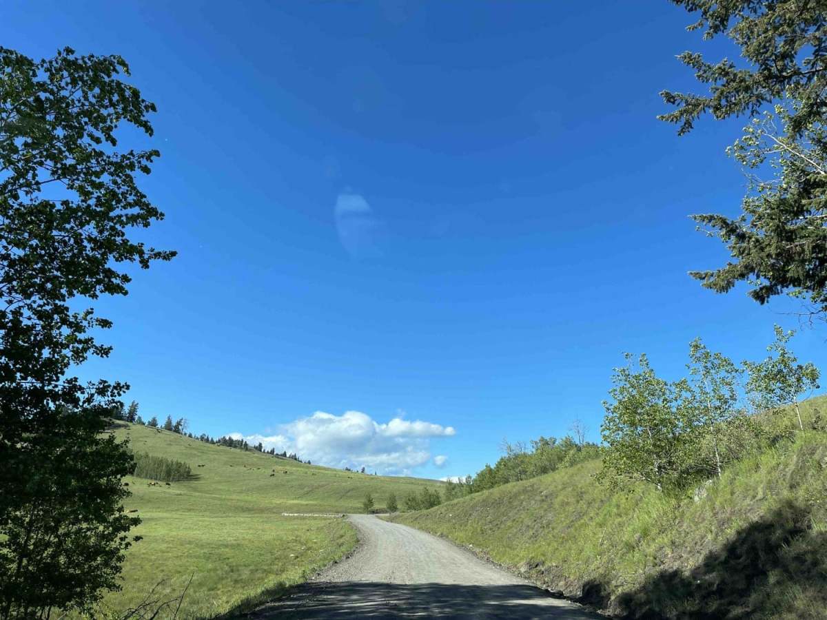 Lindbom Lake Road photo 6