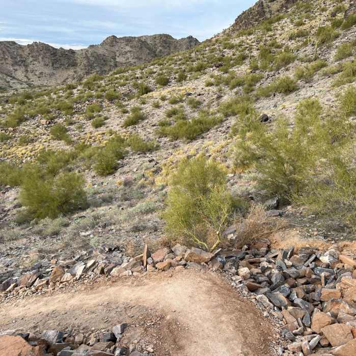 Near Piestewa Peak Freedom Trail