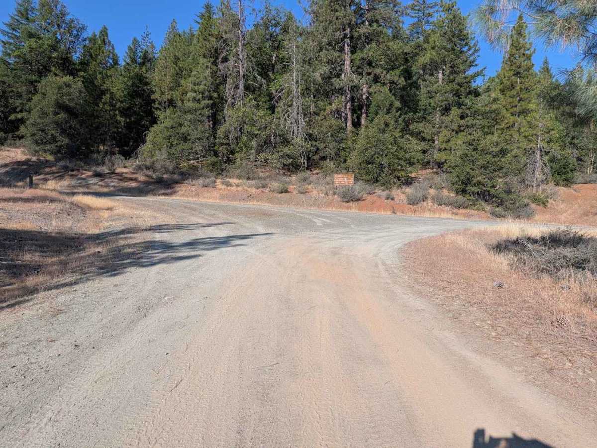 East Tule Creek - FS 31N29 photo 5