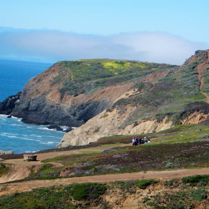 Near Tennessee Point Trail