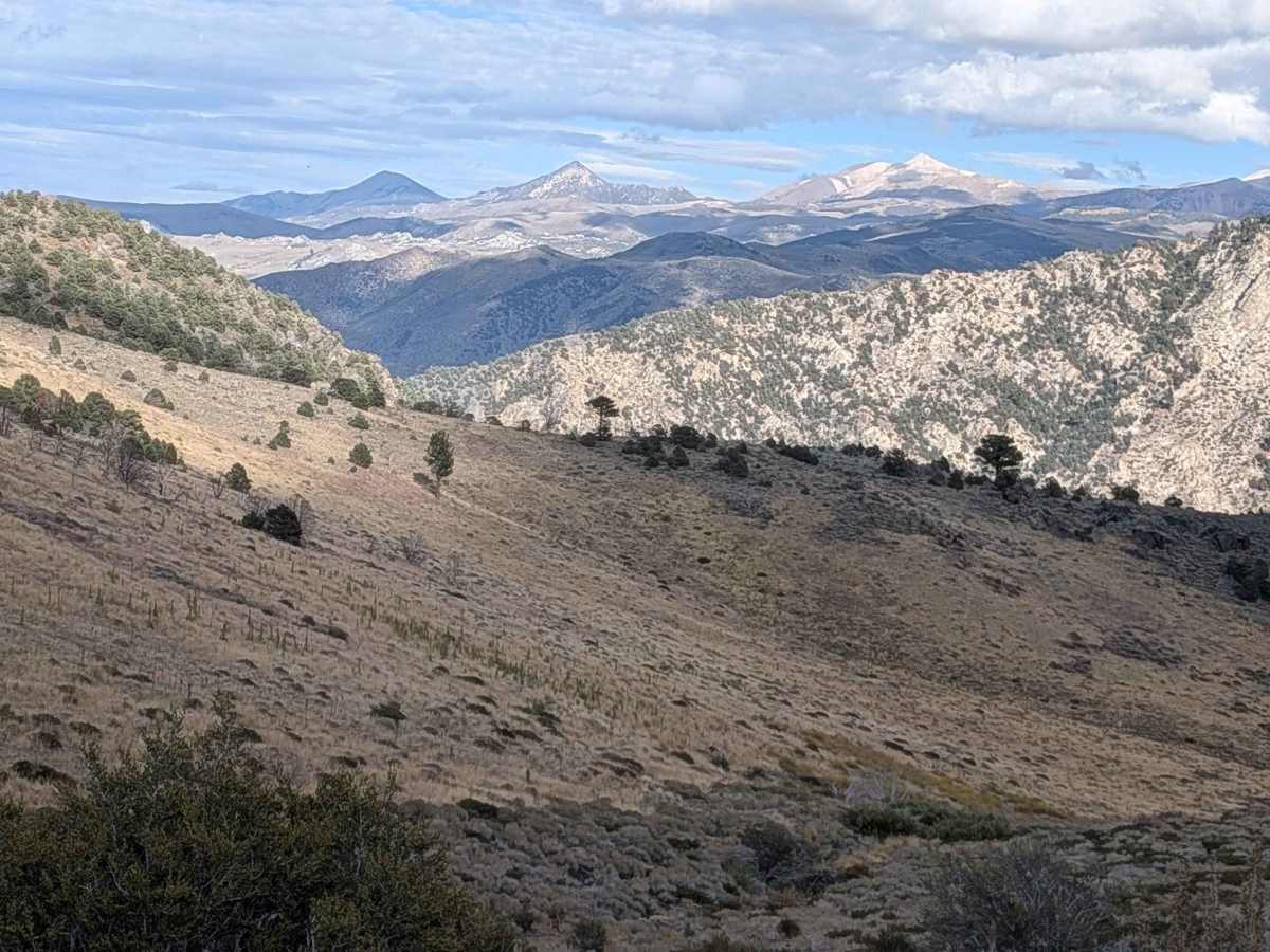 Lost Cannon Creek - FS 32212 photo 4
