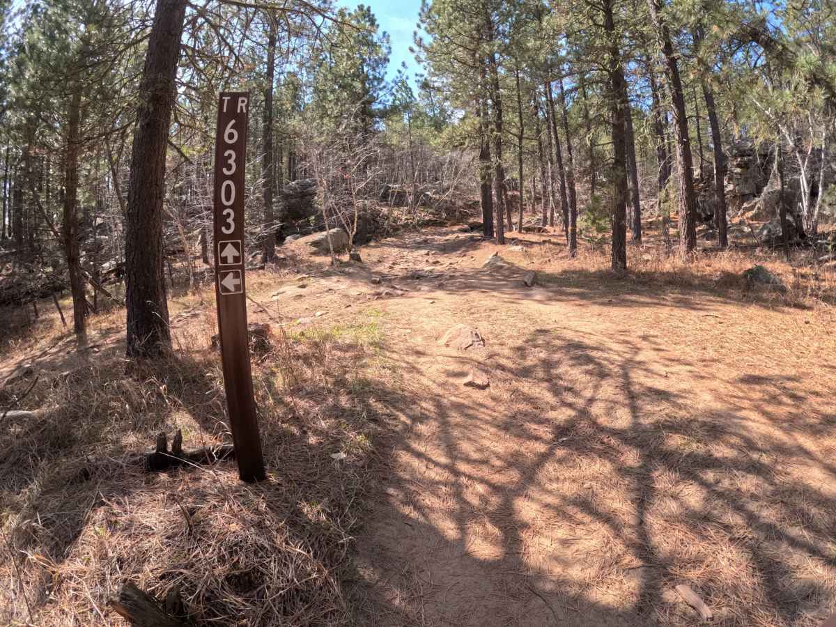 Trix - 6311 trail photo