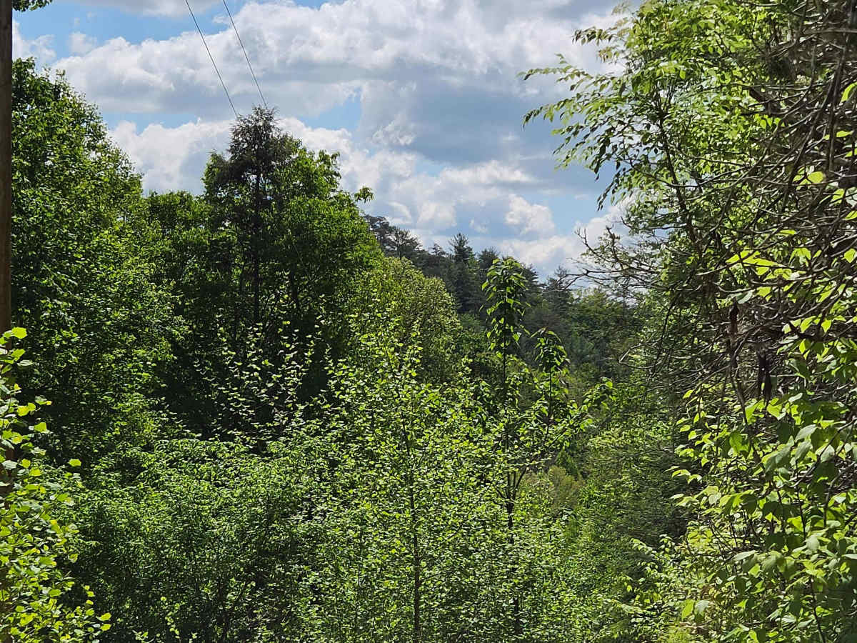 County Line/Brandenburg Road photo 6