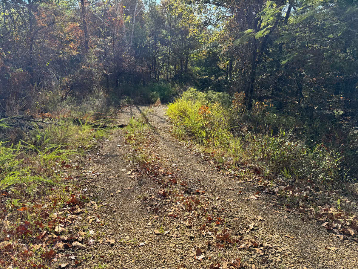 Slick Rock photo 3