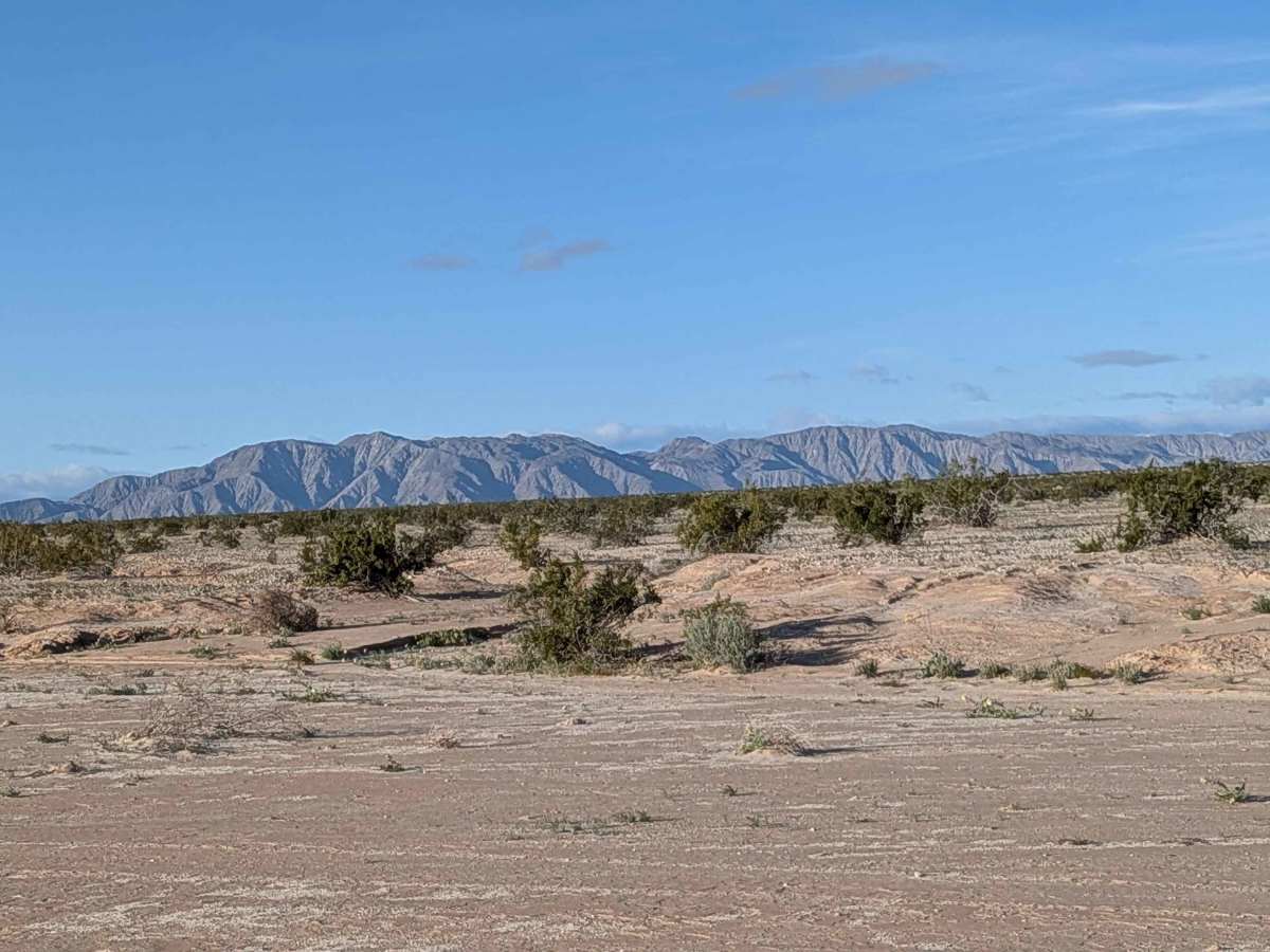BLM 324 photo 3